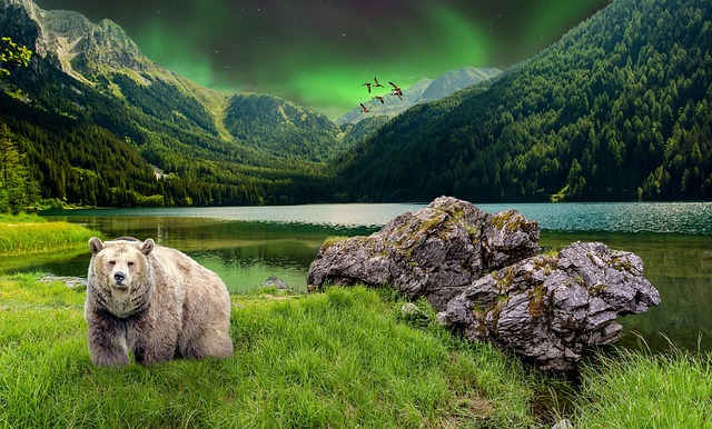 Free Mountains Lake photo and picture