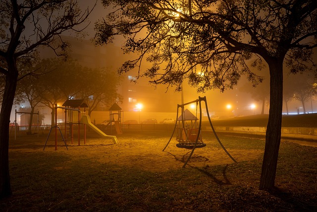 Free Fog Nature photo and picture