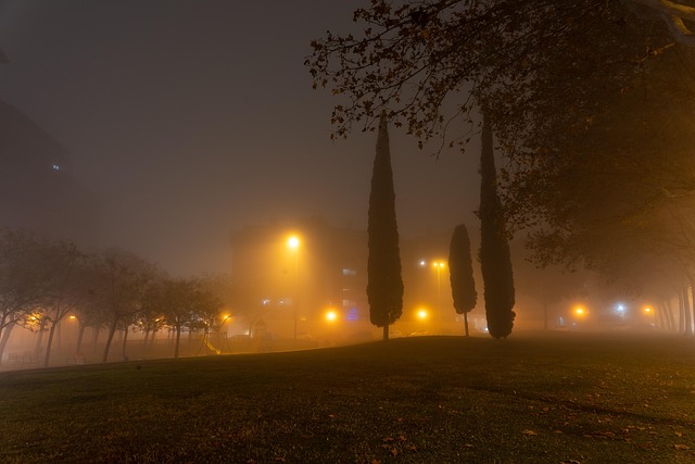 Free Fog Nature photo and picture