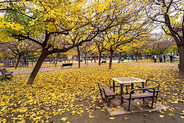Free Autumn Nature photo and picture