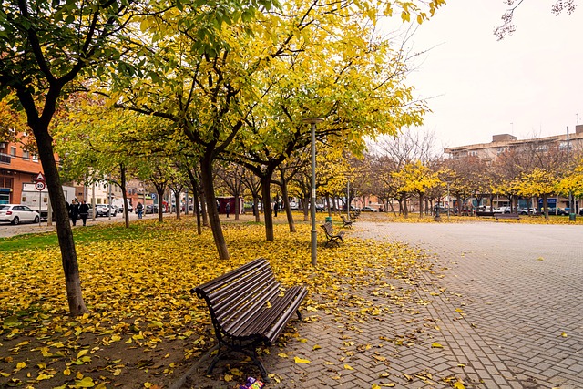 Free Autumn Nature photo and picture