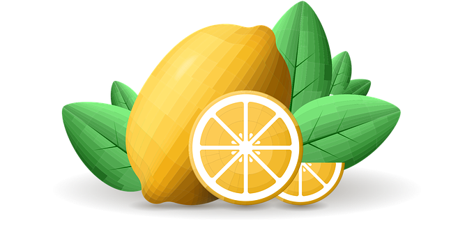Free Lemon Drawing Lemon vector and picture