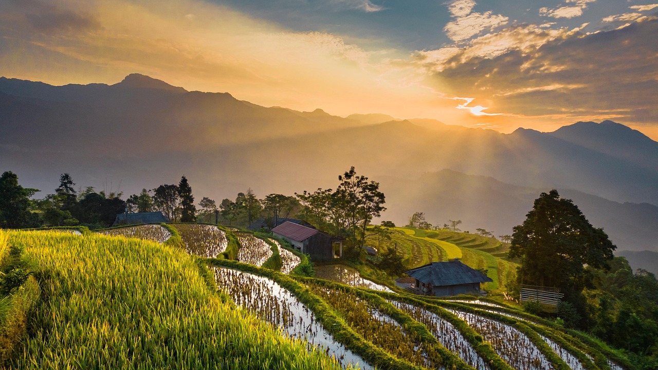 100 000 Free High Demand Fields Nature Images Pixabay