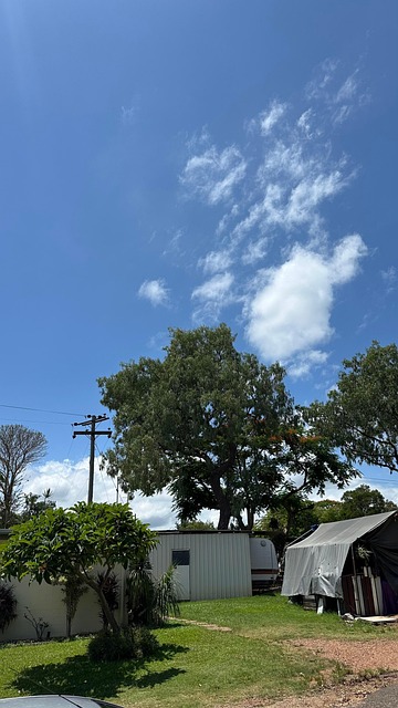 Free Sydney Australia photo and picture