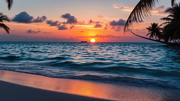 Free Beach Sunset illustration and picture