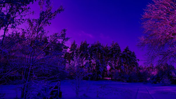 Free Background Wallpaper photo and picture