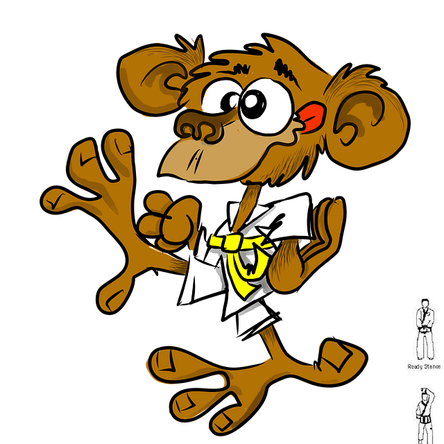 Karate, Affe, Kimono
