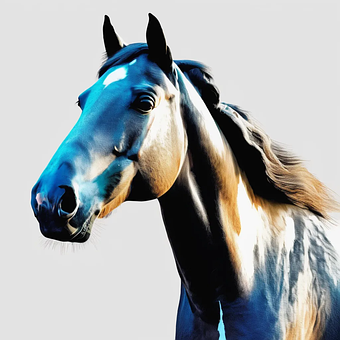 Free Painting Poster illustration and picture