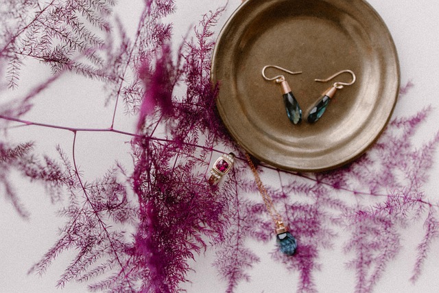 Free Jewelry Earrings photo and picture