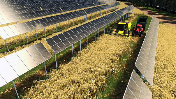 Free Agrivoltaic Solar Power illustration and picture