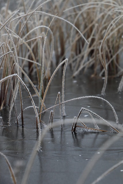 Free Winter Water photo and picture