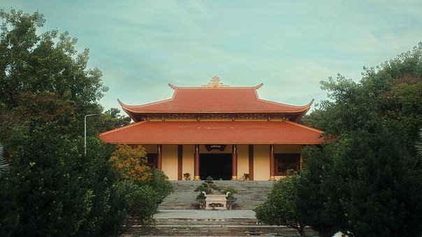 Free Pagoda Forest photo and picture