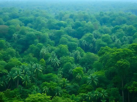 Free Green Nature photo and picture