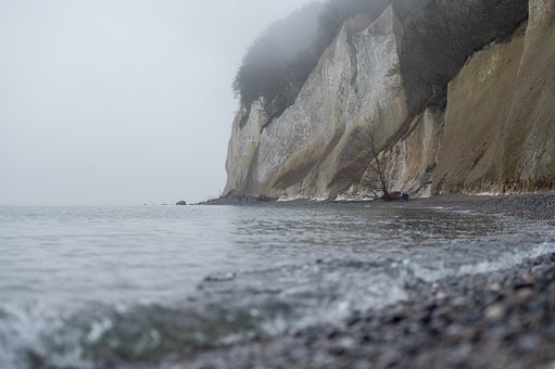 Žaba, Príroda, Voľne Žijúce Zvieratá