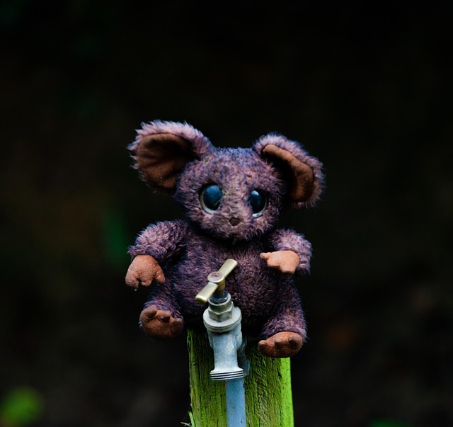 Free Teddy Cemetery photo and picture