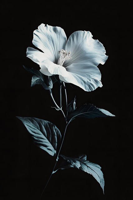Ai Generiert, Hibiskus, Blume
