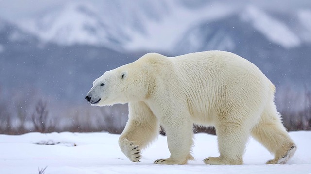 Free ai generated polar bear ice bear illustration