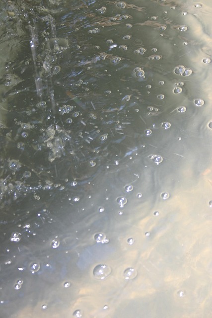 Free Bubbles Water photo and picture