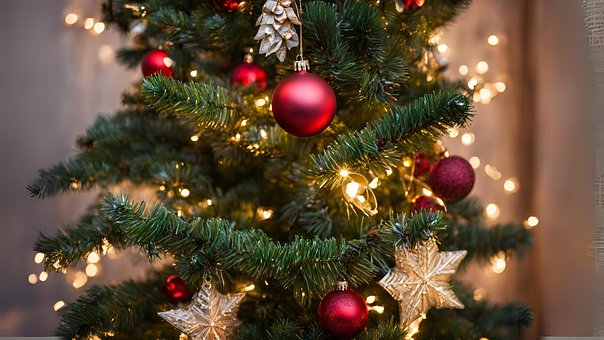 Navidad, Árbol, Estrella, Antecedentes