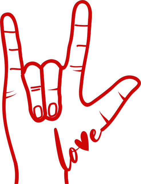 Asl, Liebe, Hand, Die Usa, Flagge