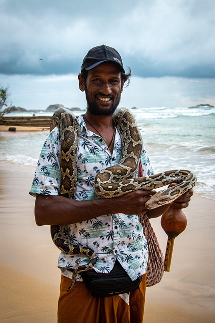 Free Sri Lanka Hikkaduwa photo and picture