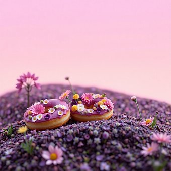Free Donut Cake illustration and picture