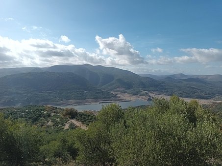 Oliven, Grækenland, Olivenolie, Sø, Vand