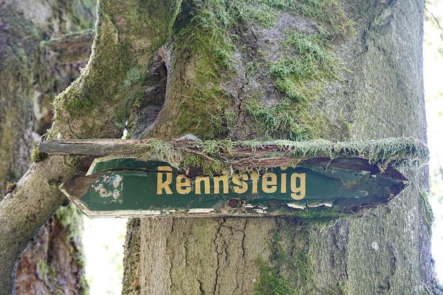 Free Rennsteig Thuringia photo and picture