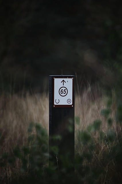 Information Signs Signpost - Free photo on Pixabay