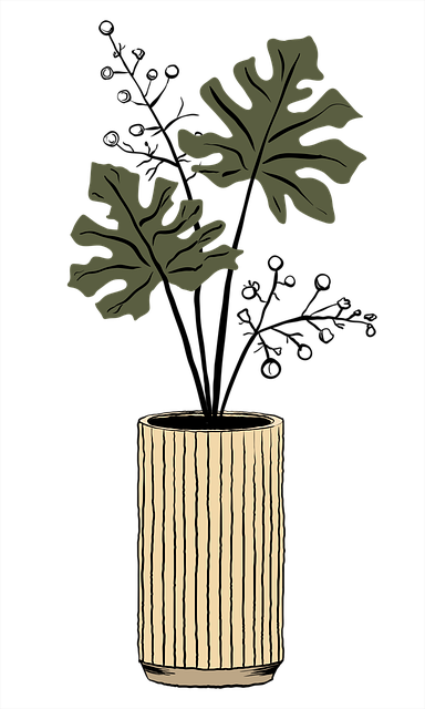 Potteplanter, Natur, Stueplante