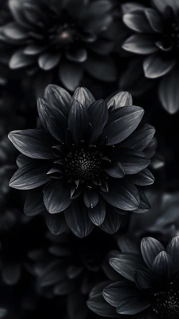 Ai Generiert, Blume, Dahlie, Dunkel