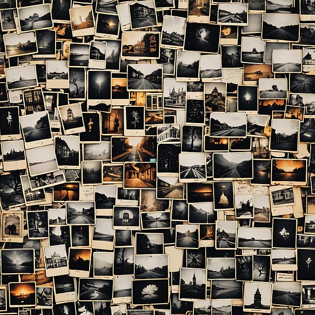 Free collage photographs polaroids illustration