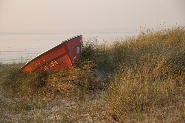 Strand, Natuur, Zee