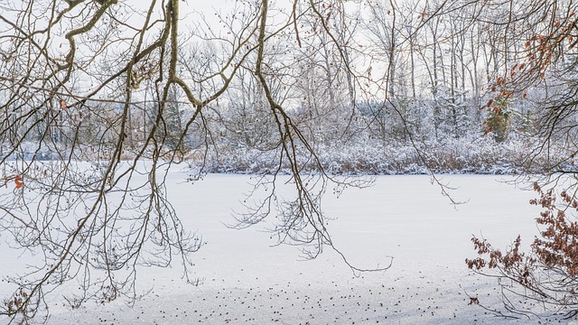 Free Lake Nature photo and picture