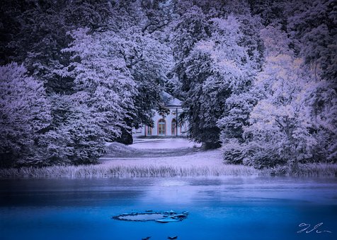 Free Lake Schönbusch photo and picture