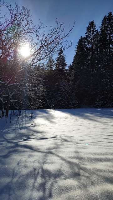 Free Snow The Shade photo and picture