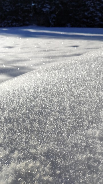 Free Snow The Shade photo and picture