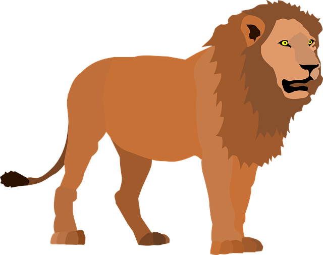 Leão, Natureza, Animal, Mamífero