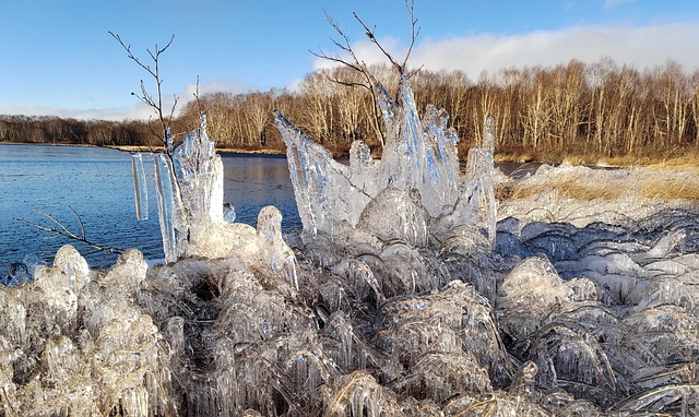Free Forest Lake Evening photo and picture