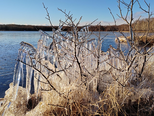 Free Forest Lake Evening photo and picture