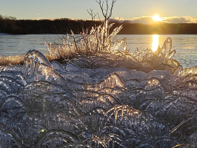 Free Forest Lake Evening photo and picture