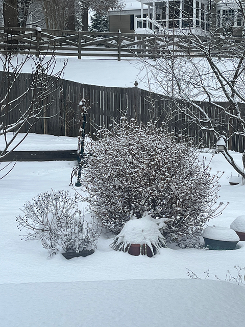Schnee, Winter, Natur, Landschaft, Kalt