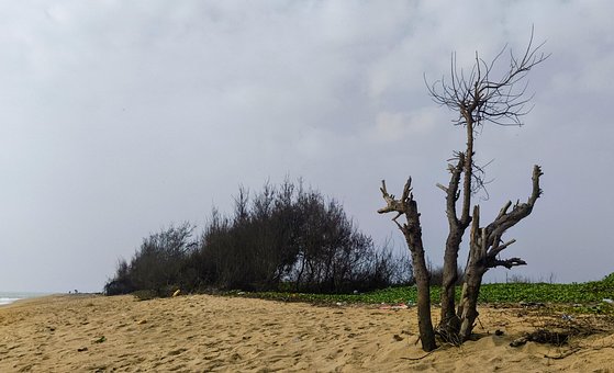 Free Winter Indian Ocean photo and picture