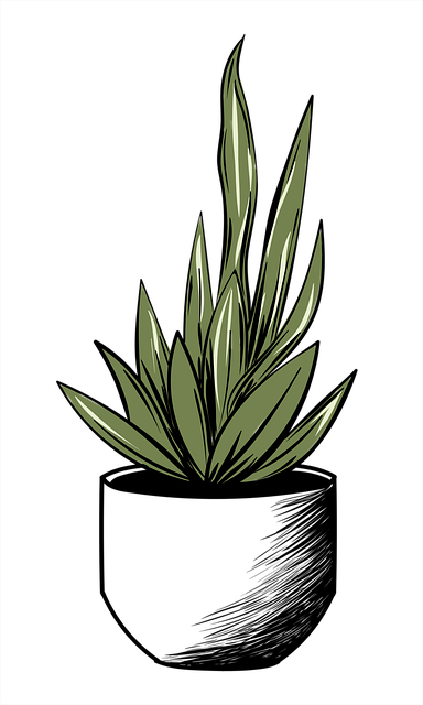 Gryte, Anlegg, Stueplante, Botanisk