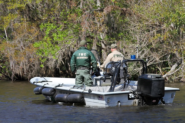 Florida, Natureza, Passeios De Barco