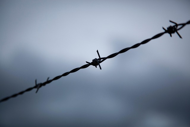 Free Fence Sky photo and picture