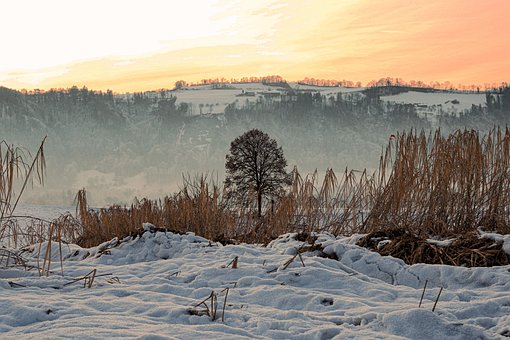 Free Winter Nature photo and picture