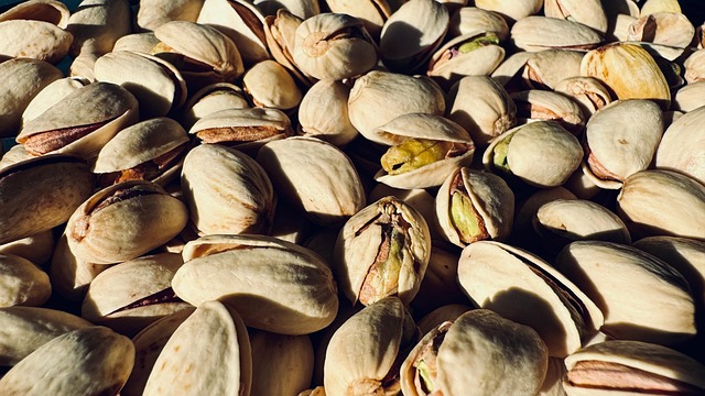 Free Pistachio Nut photo and picture