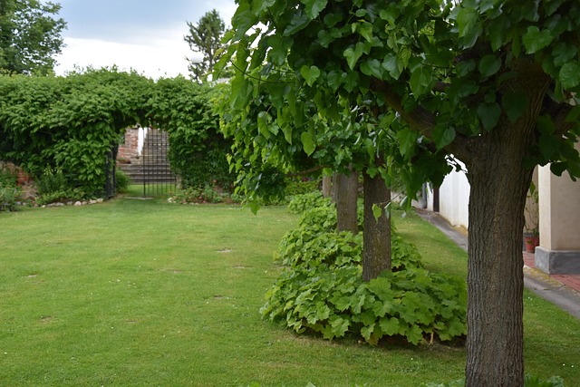 Free Garden Flora photo and picture