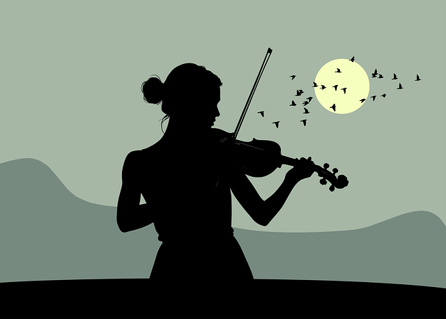 Free violinist silhouette musical vector